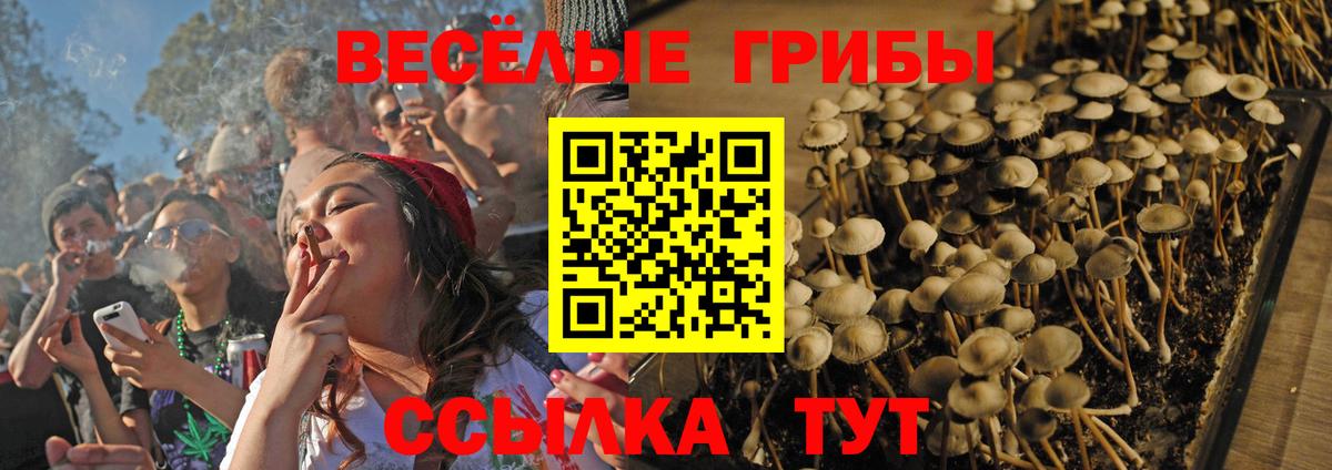 Дубна  где купить наркоту  Вход с VPN  Галлюциногенные грибы Magic Shrooms 